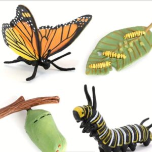 4-piece Butterfly Life Cycle Kit