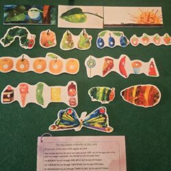 Alternative view of The Very Hungry Caterpillar